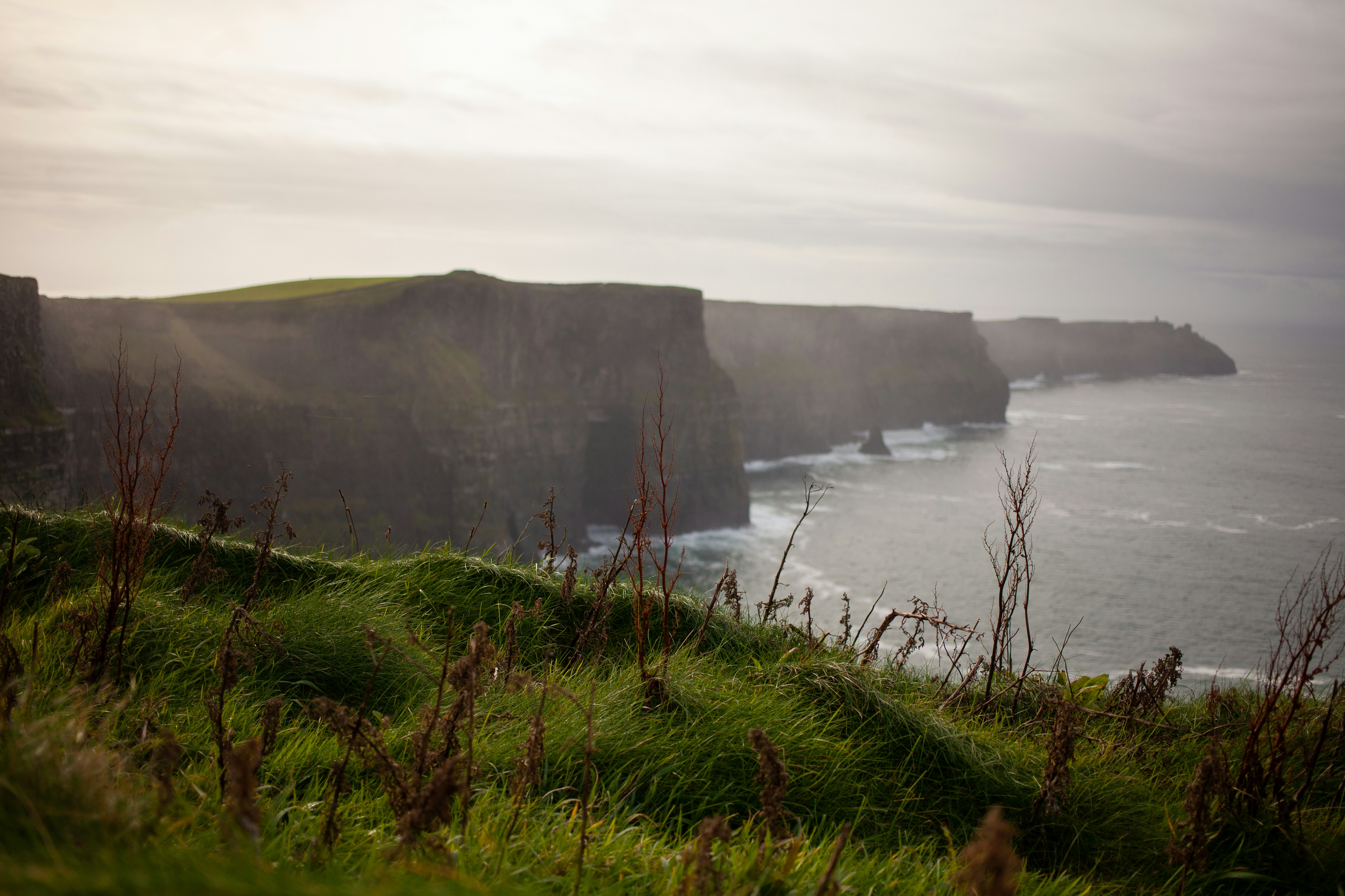 Types of dental laminates