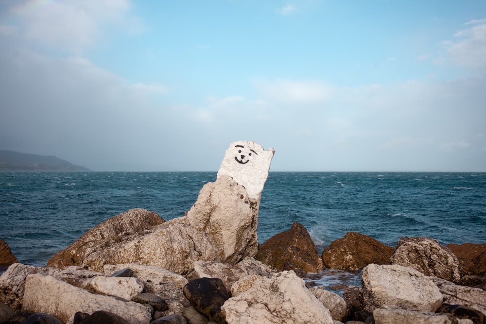 a rock with a smiley face drawn on it