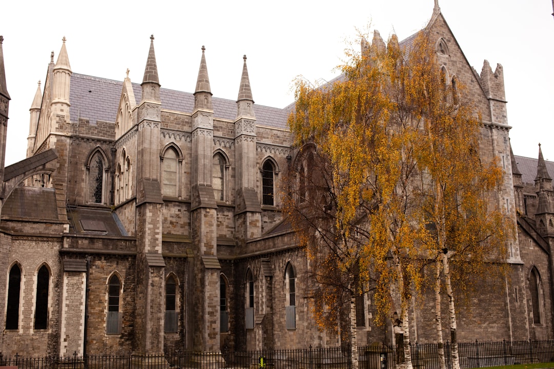 a large building with a tree in front of it,