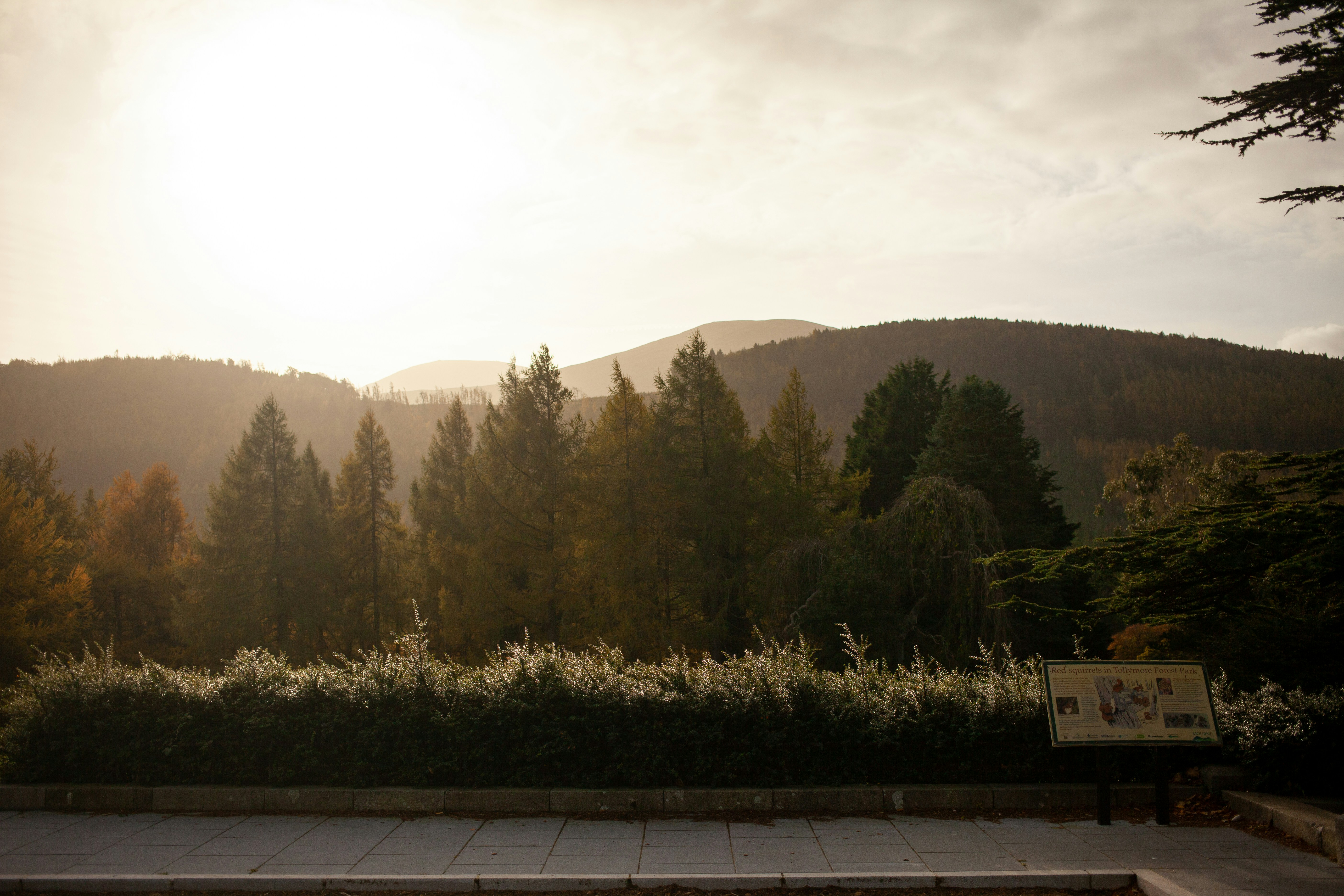 Football kit replicas premier league