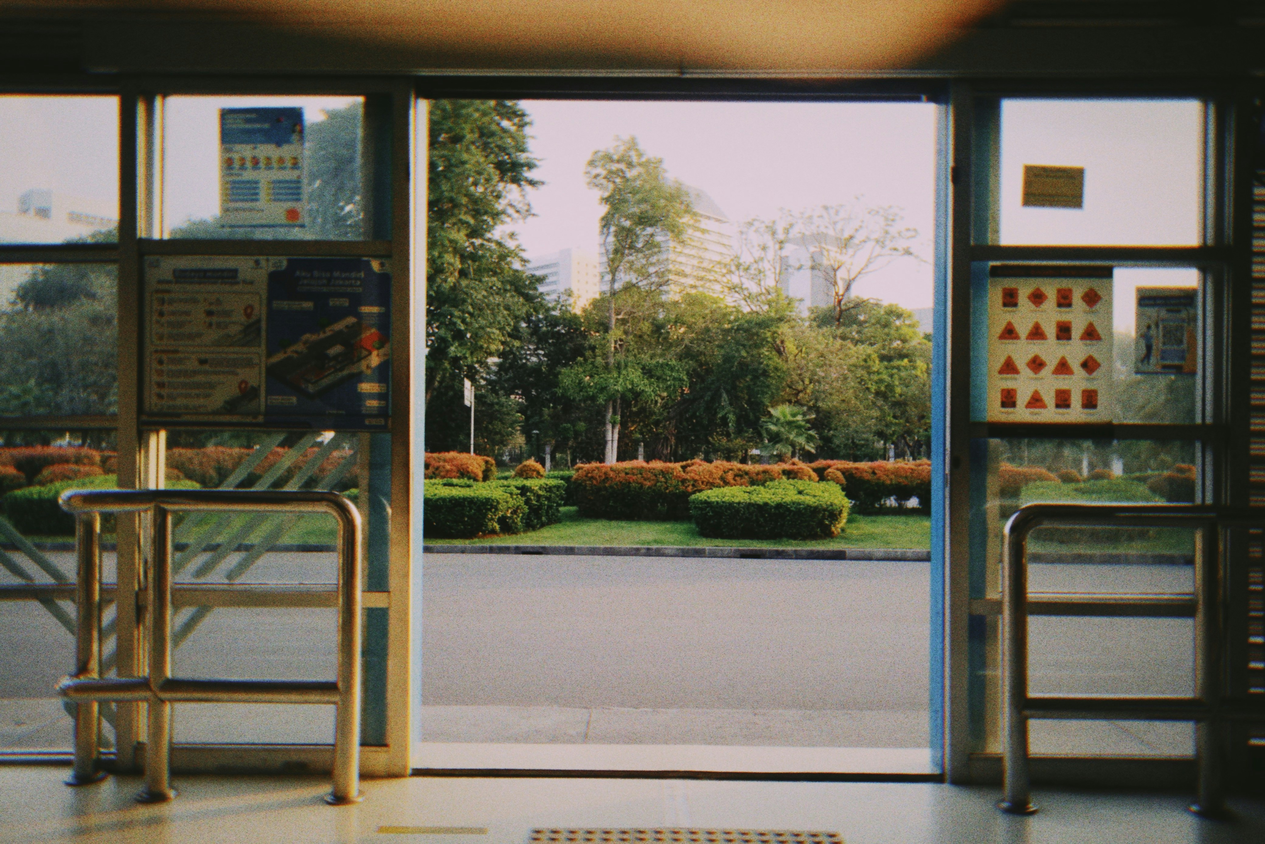 Cover Image of the Post