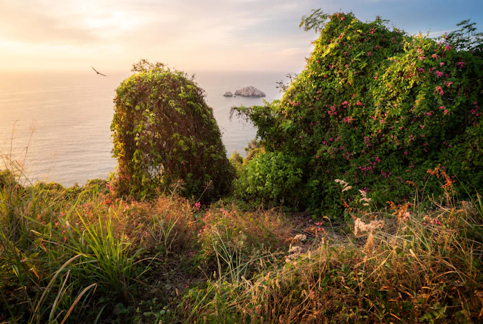 Eco Friendly Resorts