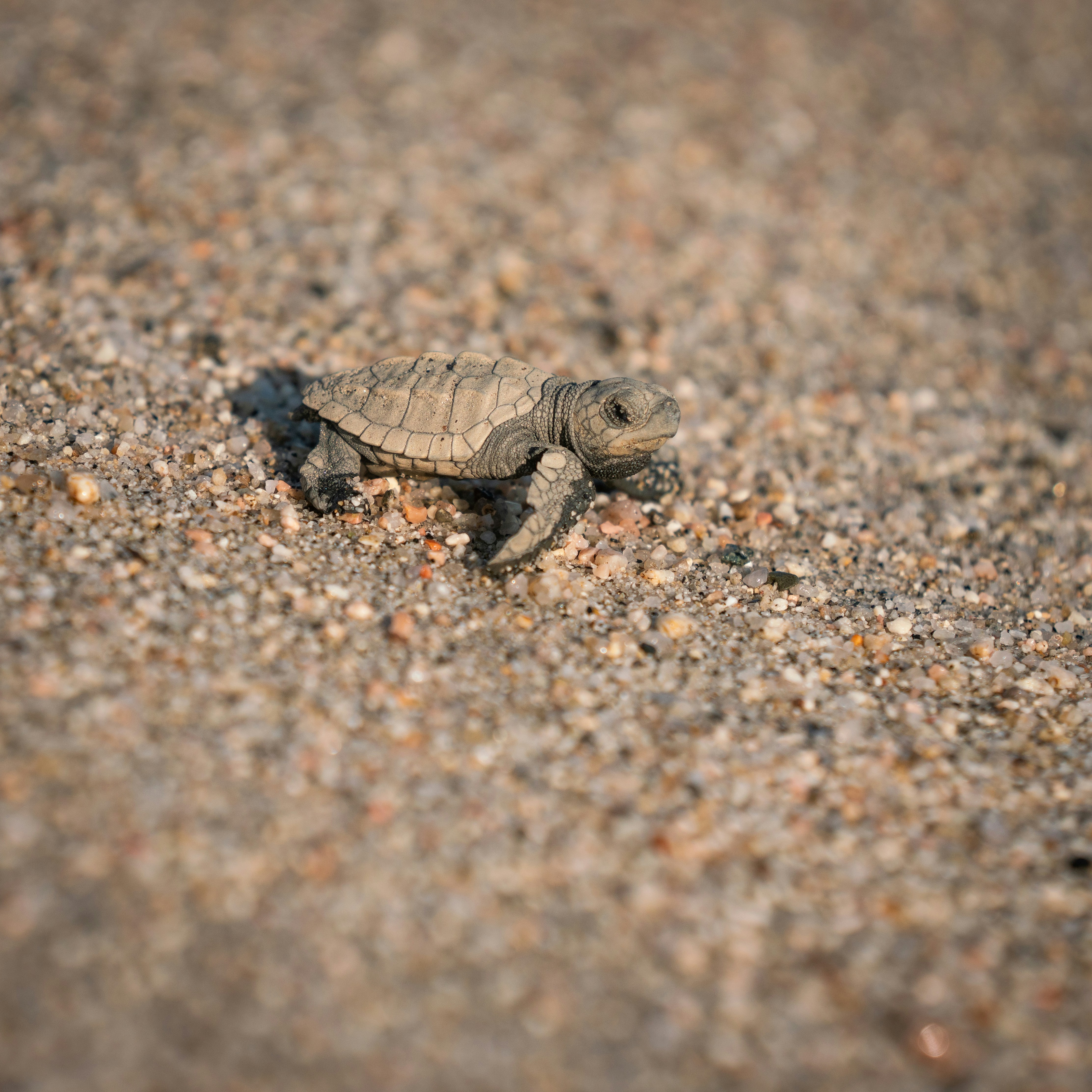 Photo by intricateexplorer