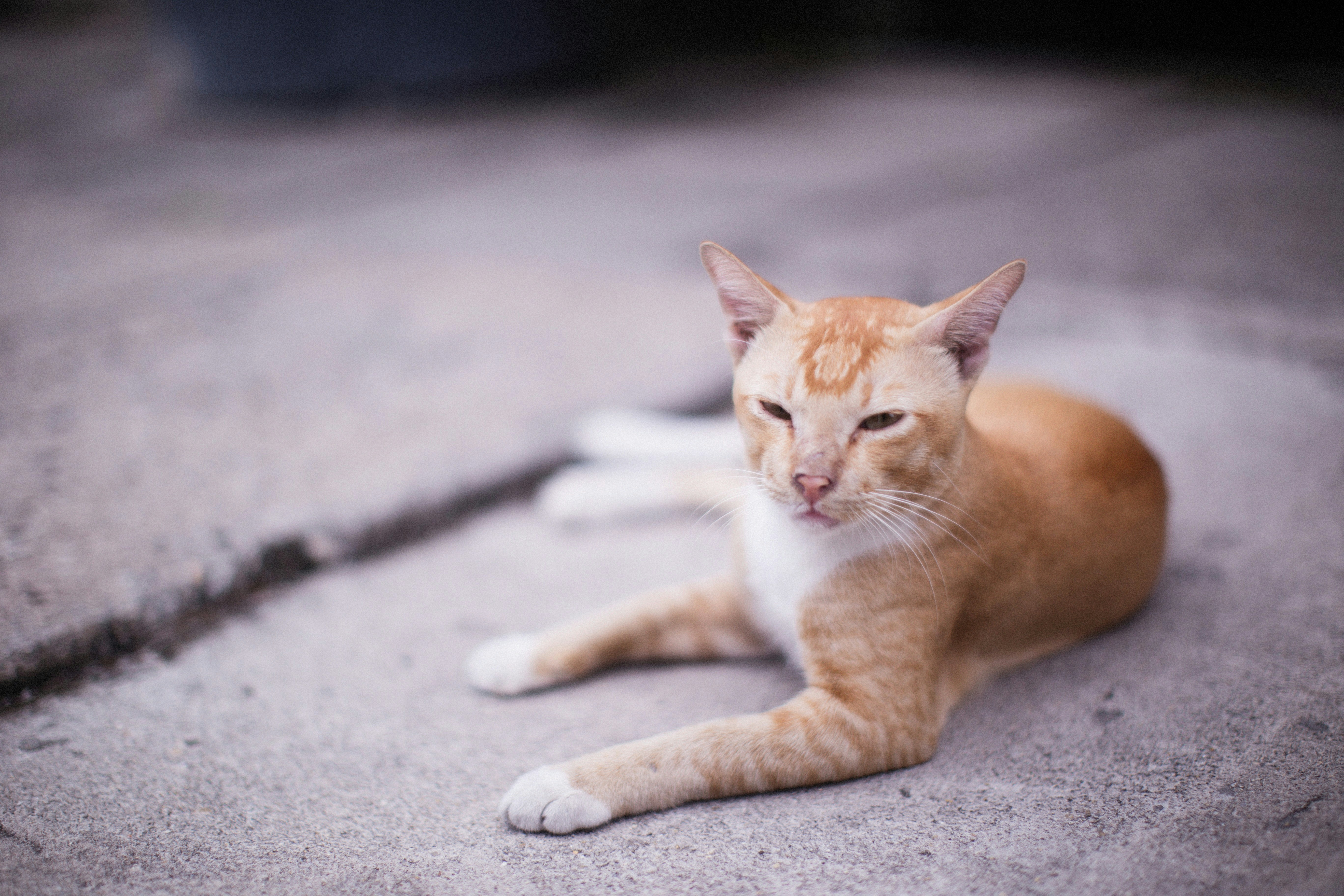 Photo by alexeydemidov