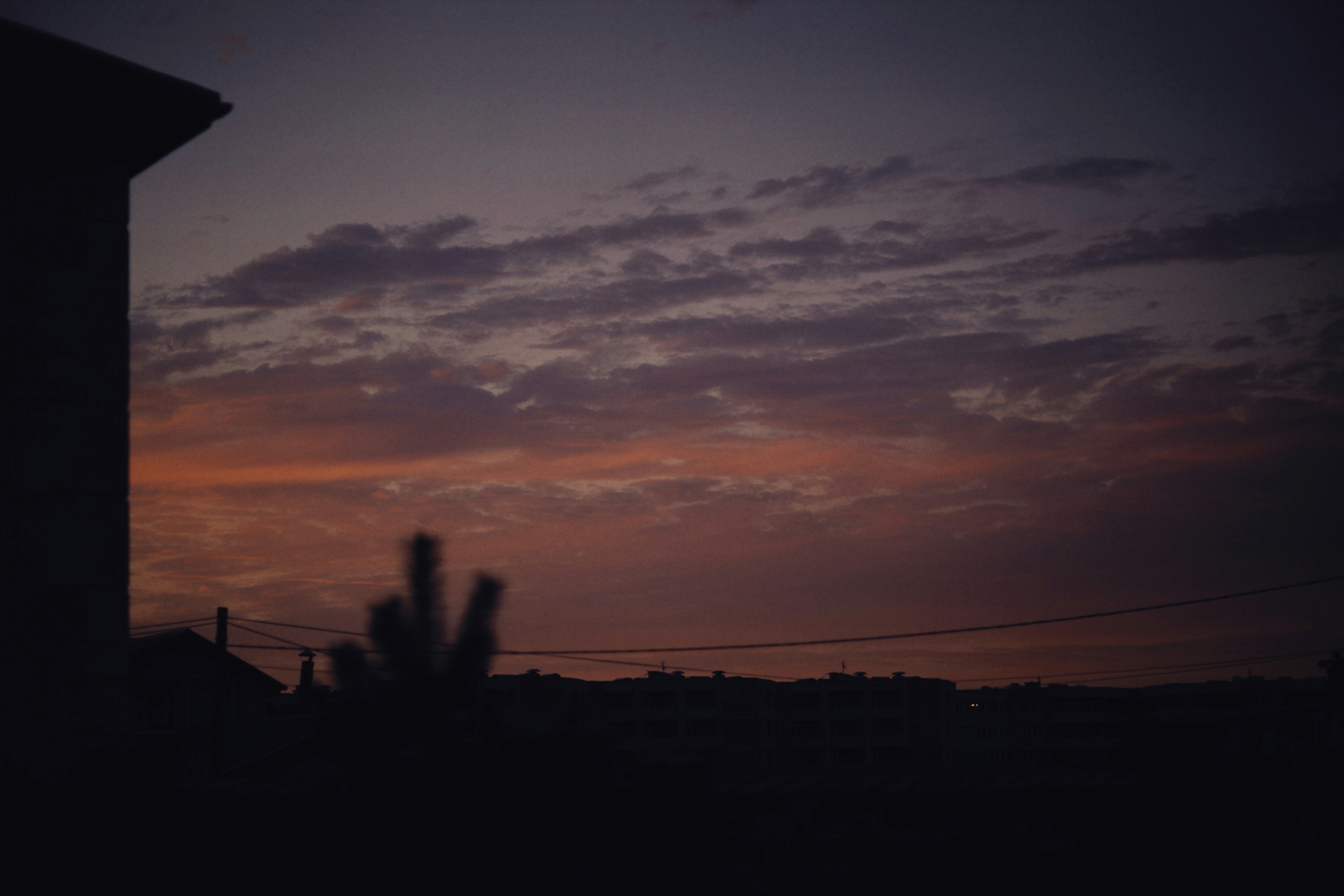 Photo by alexeydemidov