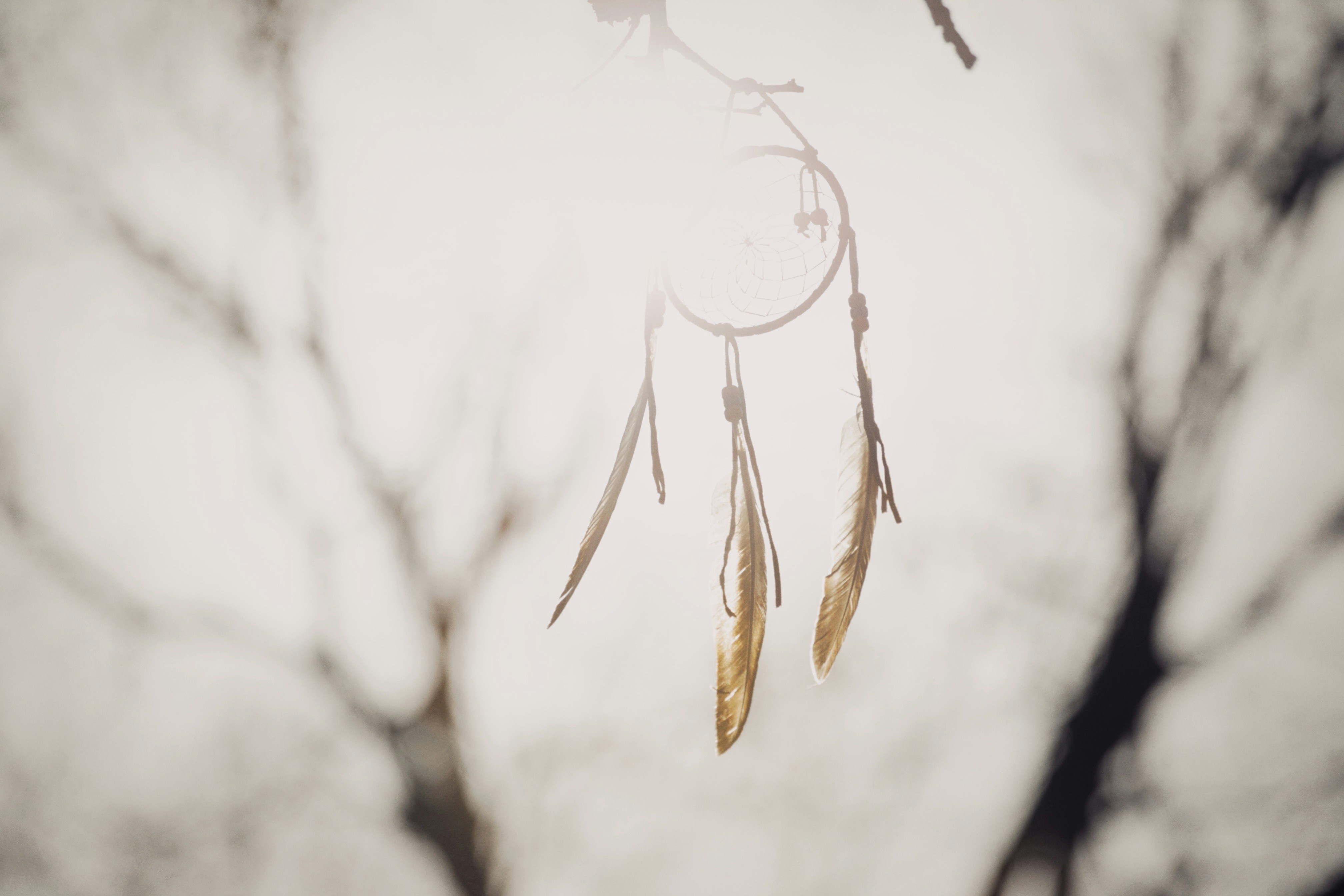 Photo by alexeydemidov