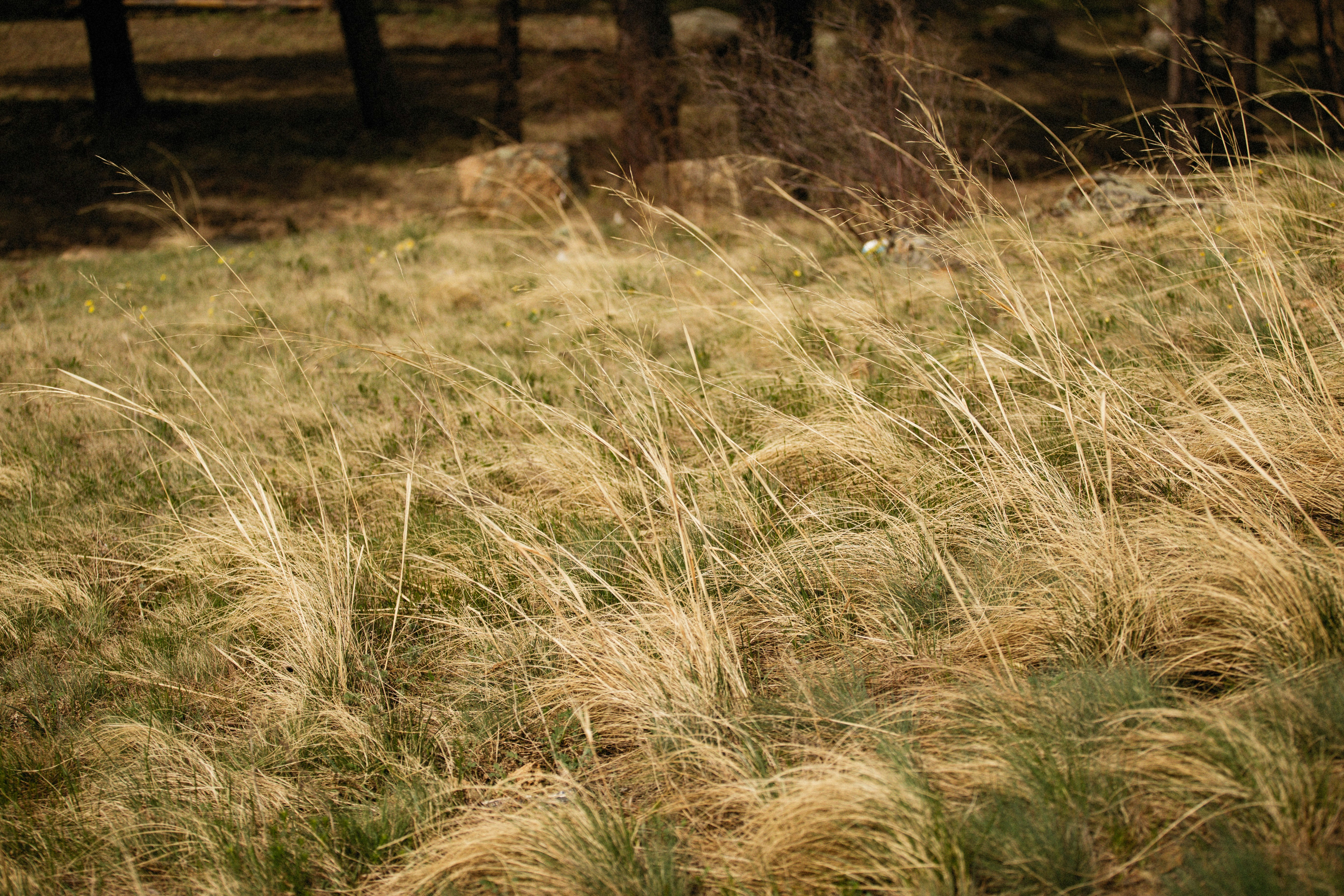 Photo by alexeydemidov