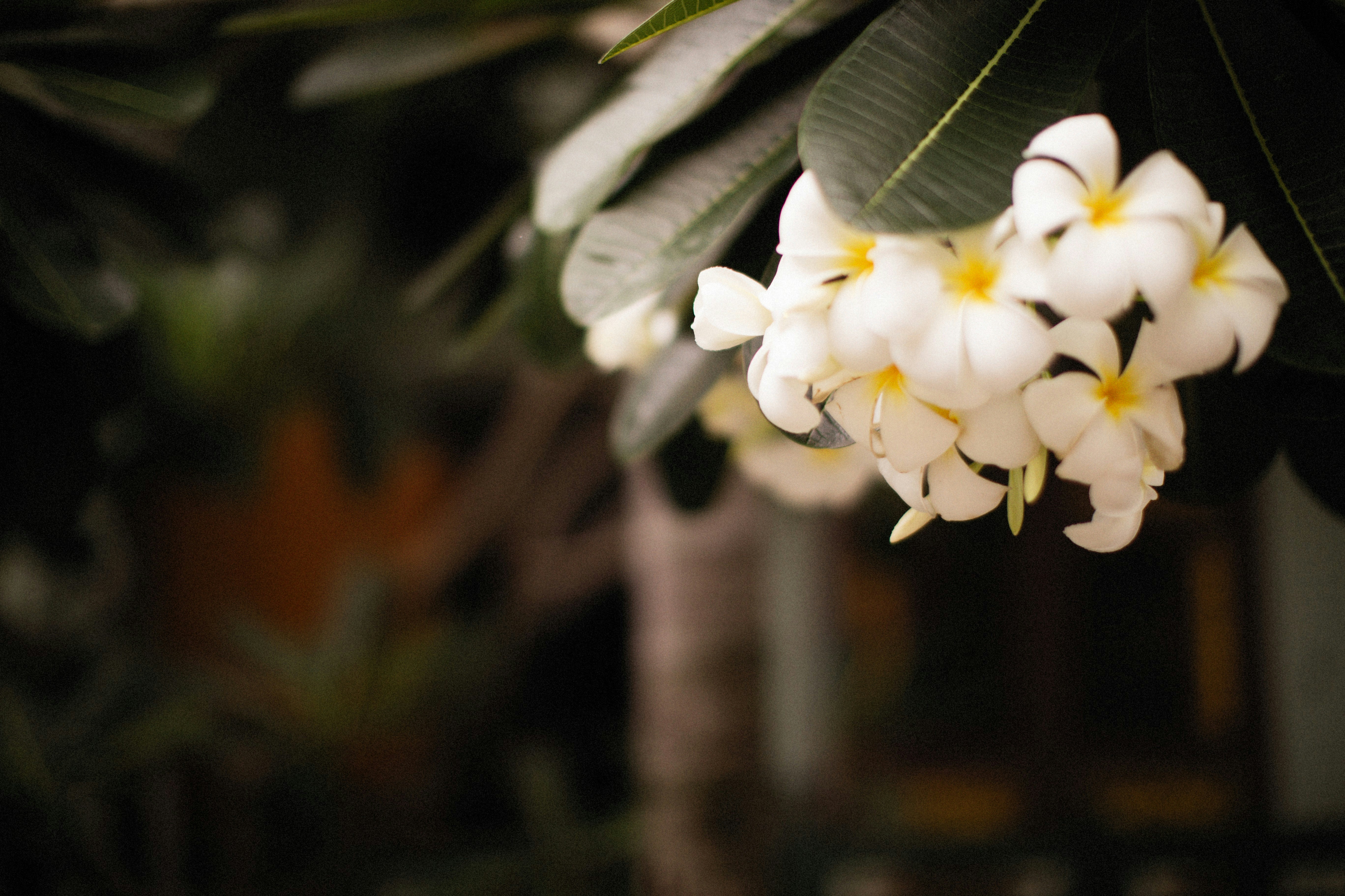 Photo by alexeydemidov