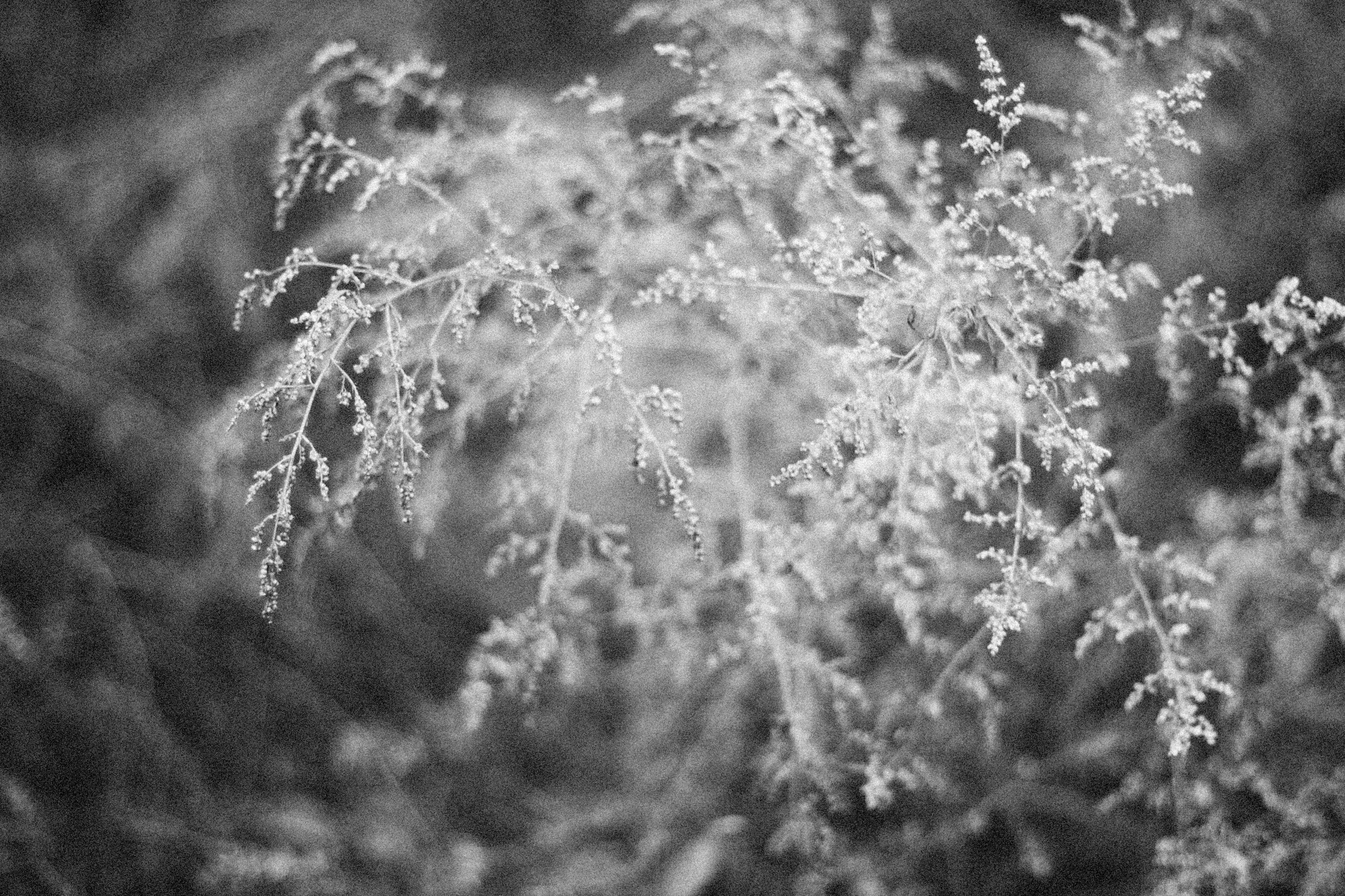 Photo by alexeydemidov