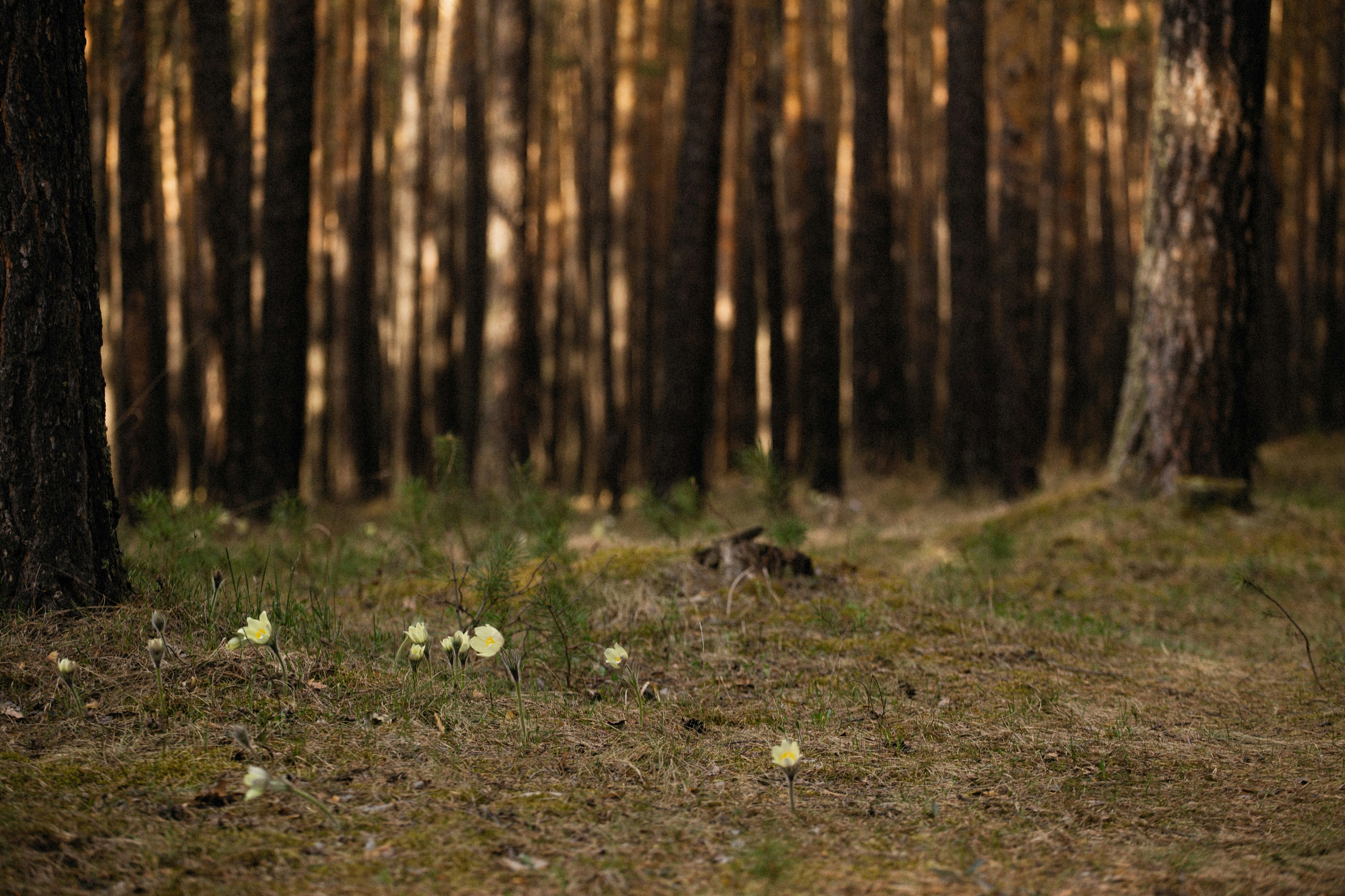 Photo by alexeydemidov