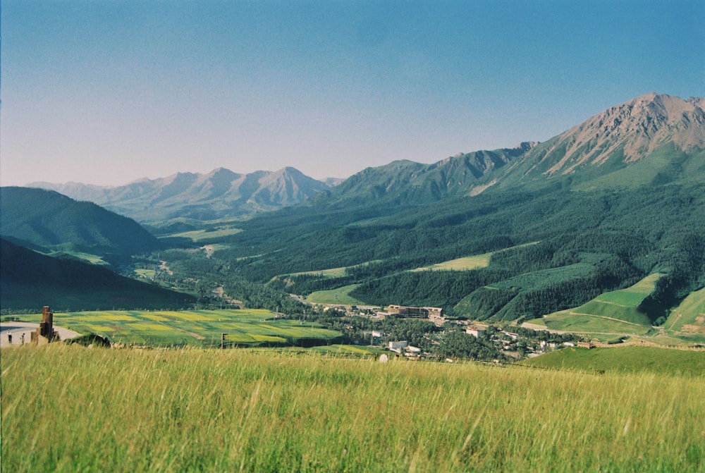 a grassy field with mountains in the background