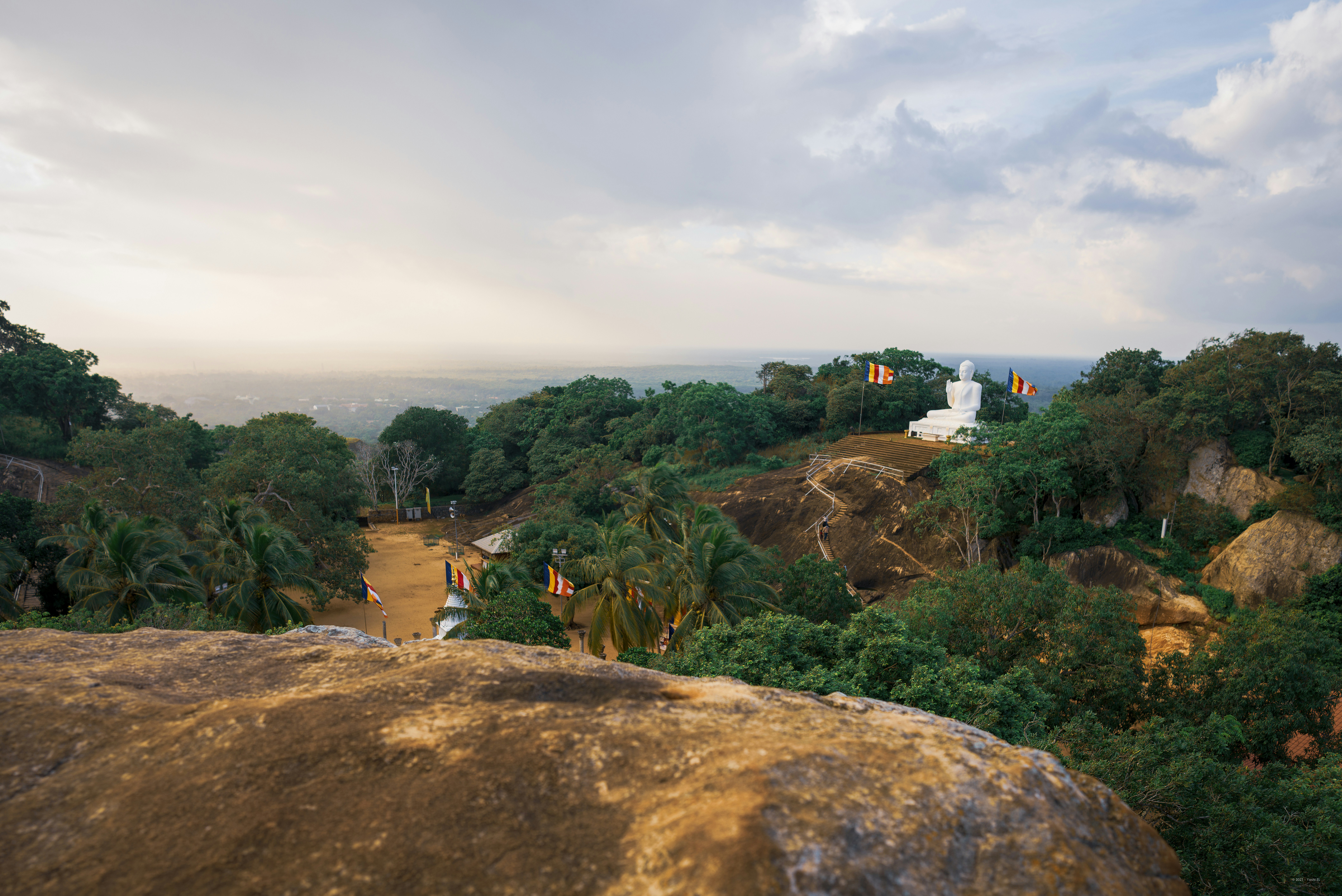Coconut Tree Hill Sri Lanka: Surga Tersembunyi yang Wajib Dikunjungi