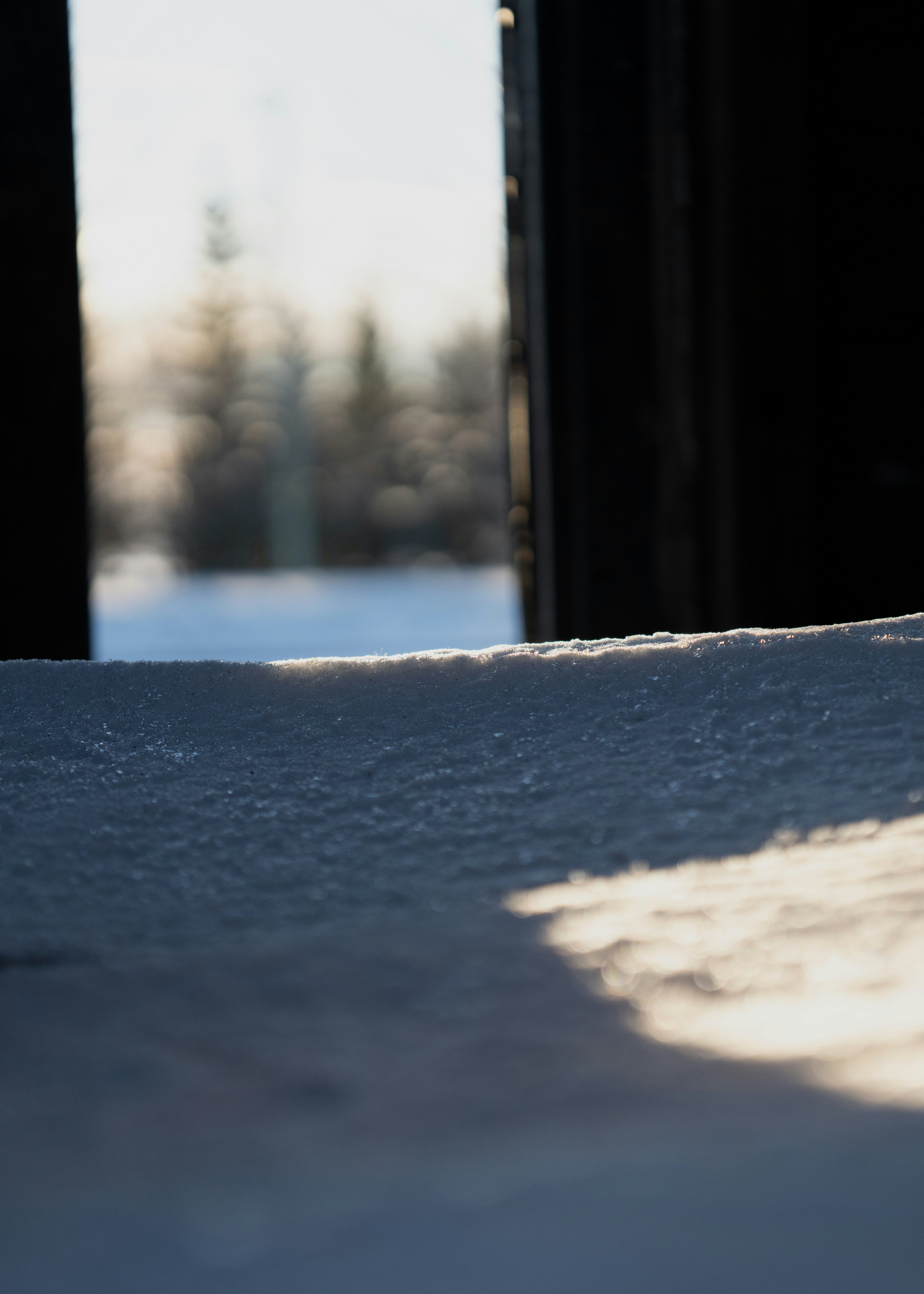 Photo by dsps
