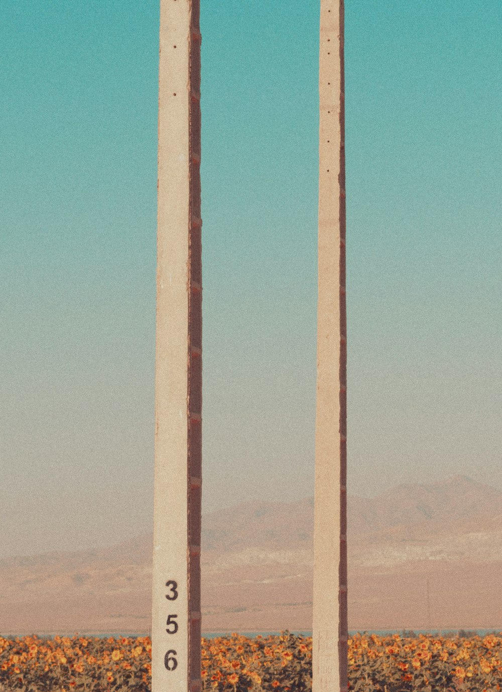 a couple of tall poles sitting in the middle of a field