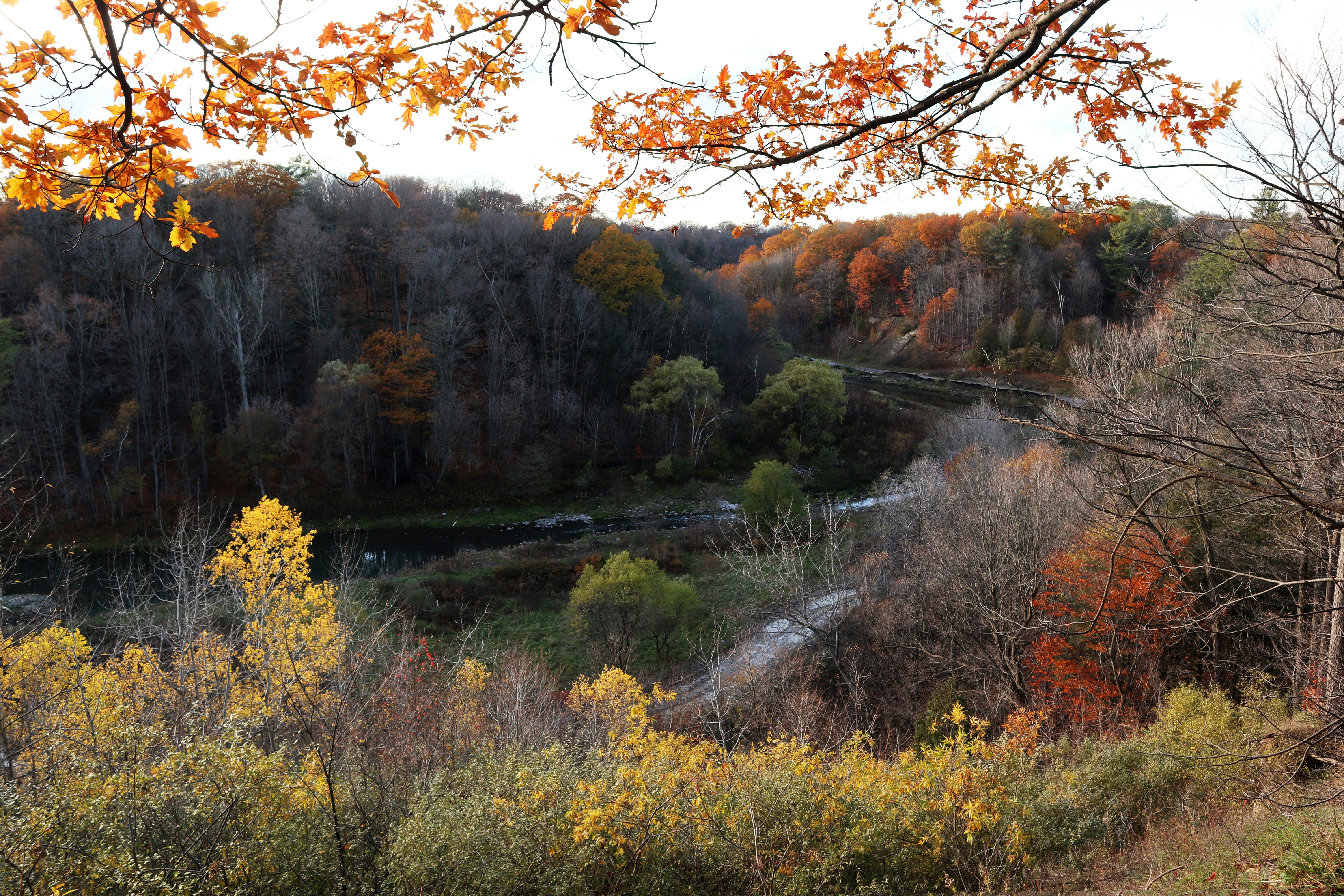 Photo by justin_ziadeh