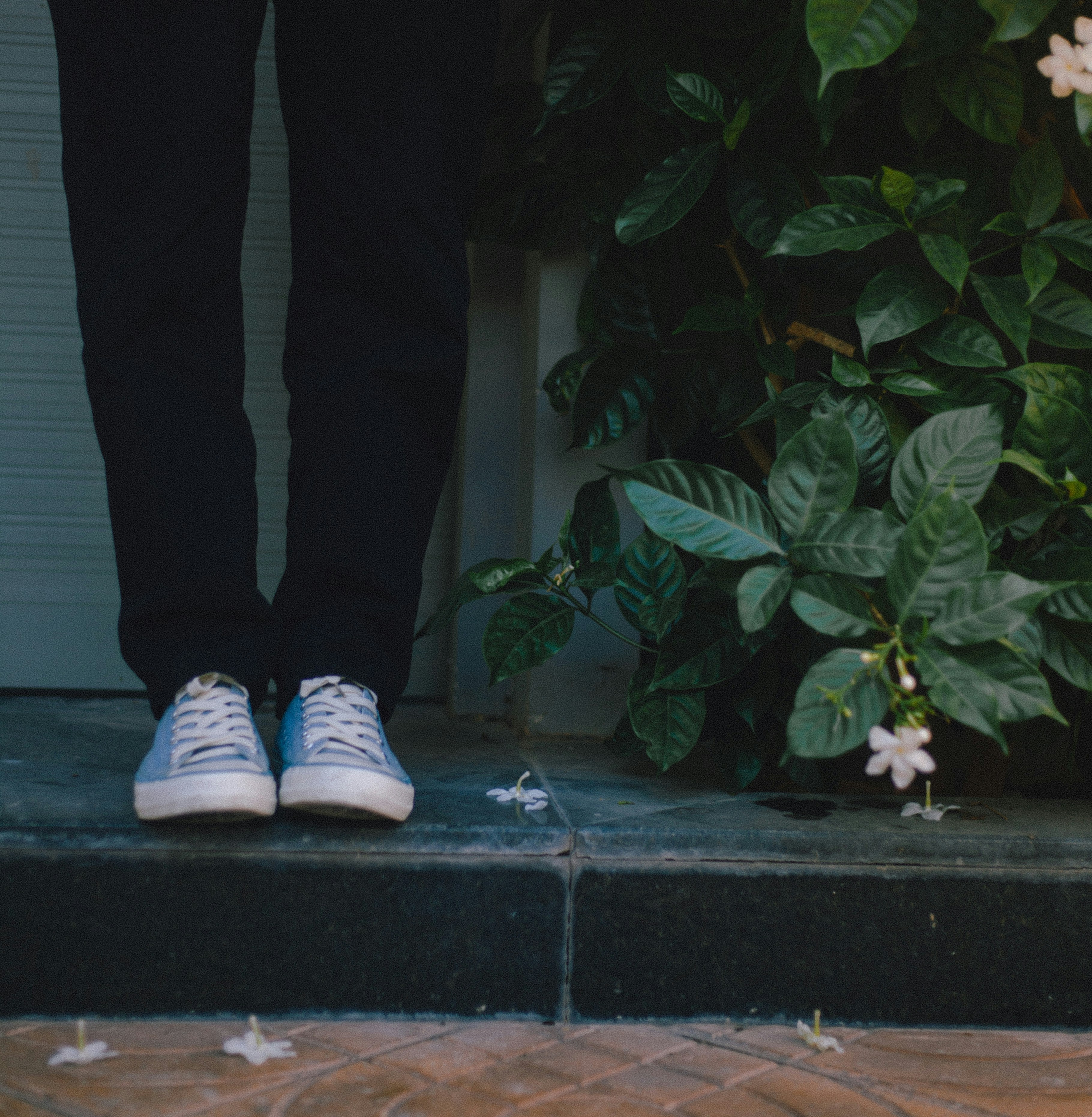 Photo by quynhlmph14759