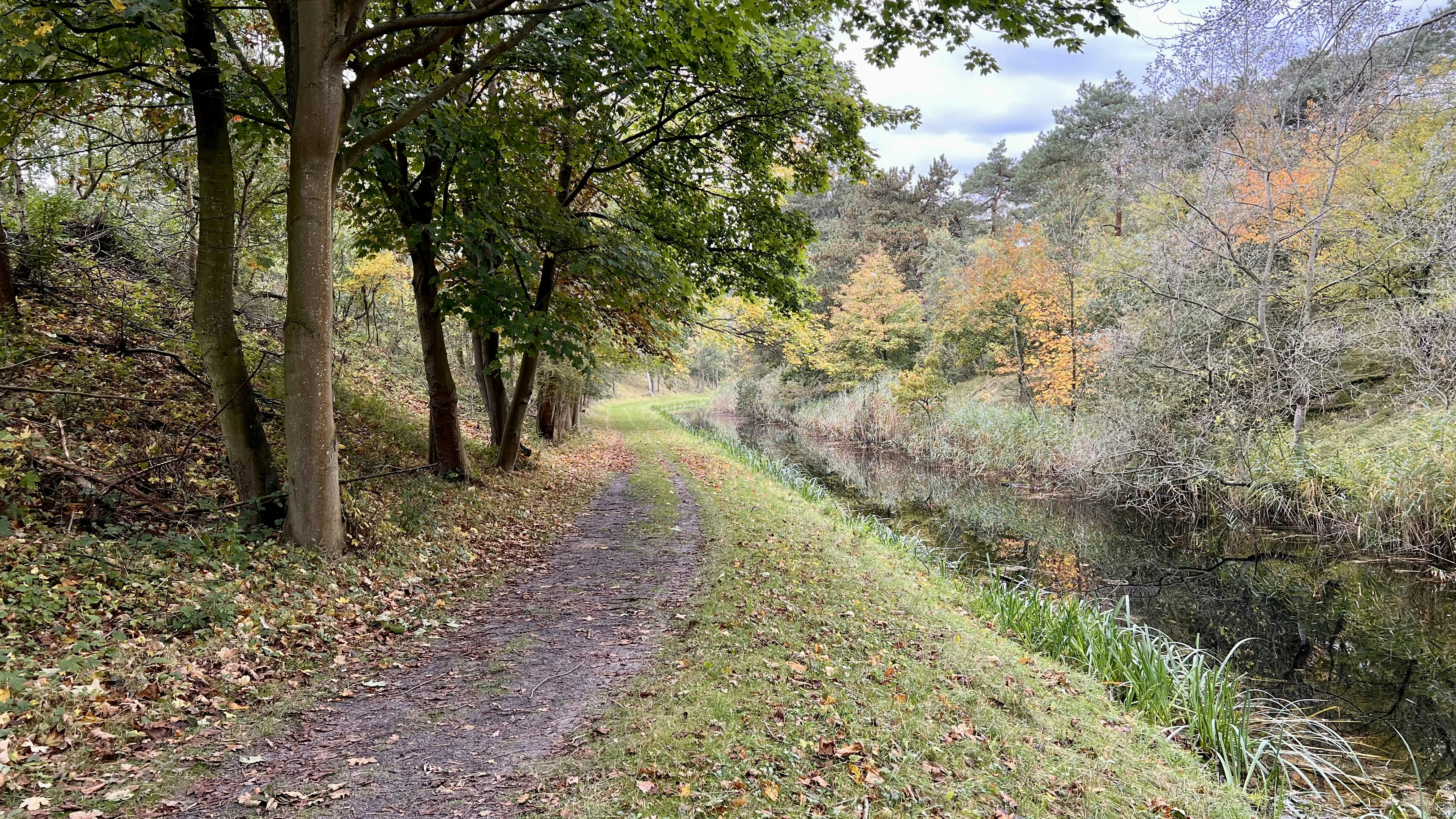 a dirt path next to a river surrounded by trees