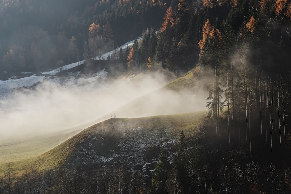 a foggy valley with trees and a mountain in the background