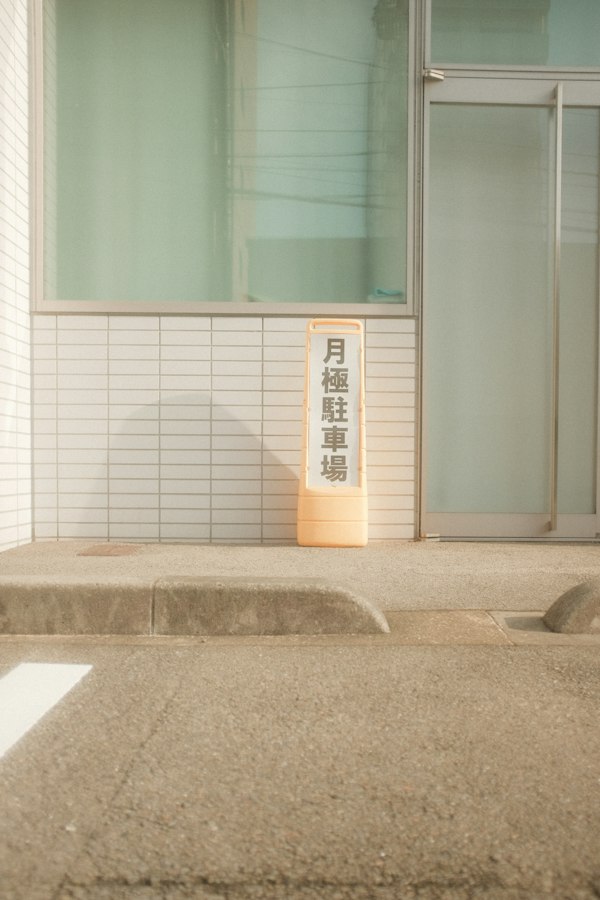 Japandi badkamer