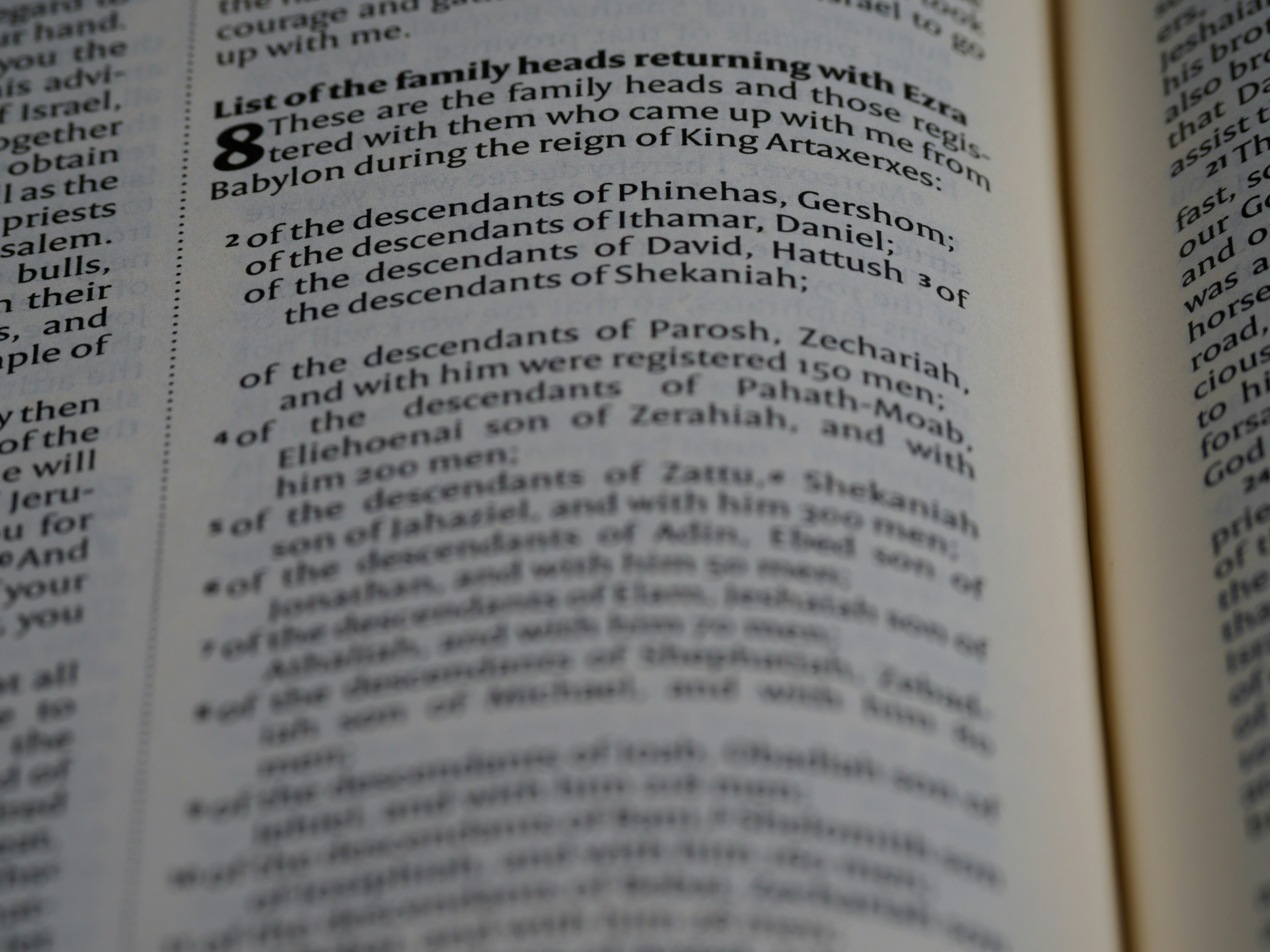 قضايا الميراث المعقدة في الأسر ذات الخلفيات الدينية المختلفة