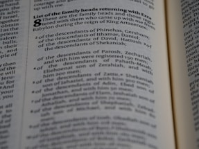 A close-up view of a page from a book containing text. The text is presented in a neat, column format with numbered lists and section headings highlighted in bold. The focus appears to be on specific words and phrases related to family heads and descendants.