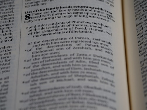 A close-up view of a page from a book containing text. The text is presented in a neat, column format with numbered lists and section headings highlighted in bold. The focus appears to be on specific words and phrases related to family heads and descendants.