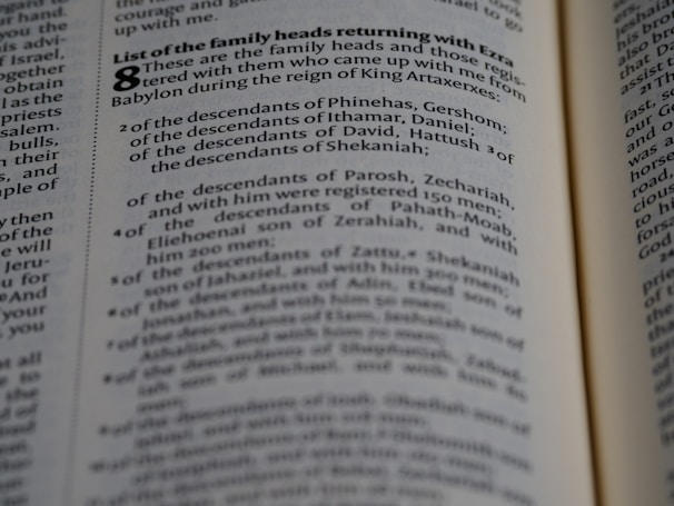 A close-up view of a page from a book containing text. The text is presented in a neat, column format with numbered lists and section headings highlighted in bold. The focus appears to be on specific words and phrases related to family heads and descendants.