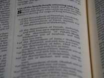 A close-up view of a page from a book containing text. The text is presented in a neat, column format with numbered lists and section headings highlighted in bold. The focus appears to be on specific words and phrases related to family heads and descendants.
