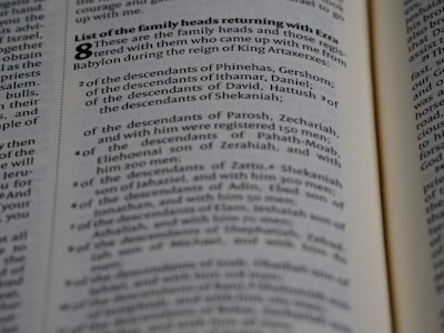A close-up view of a page from a book containing text. The text is presented in a neat, column format with numbered lists and section headings highlighted in bold. The focus appears to be on specific words and phrases related to family heads and descendants.