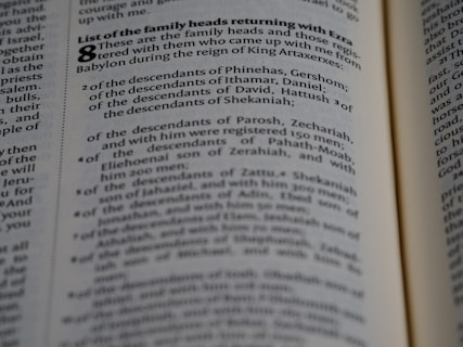 A close-up view of a page from a book containing text. The text is presented in a neat, column format with numbered lists and section headings highlighted in bold. The focus appears to be on specific words and phrases related to family heads and descendants.