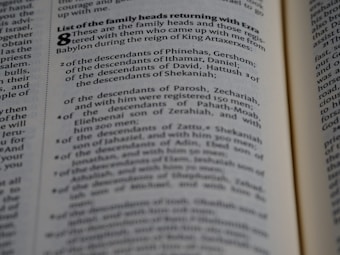 A close-up view of a page from a book containing text. The text is presented in a neat, column format with numbered lists and section headings highlighted in bold. The focus appears to be on specific words and phrases related to family heads and descendants.