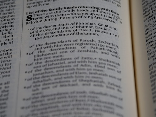 A close-up view of a page from a book containing text. The text is presented in a neat, column format with numbered lists and section headings highlighted in bold. The focus appears to be on specific words and phrases related to family heads and descendants.