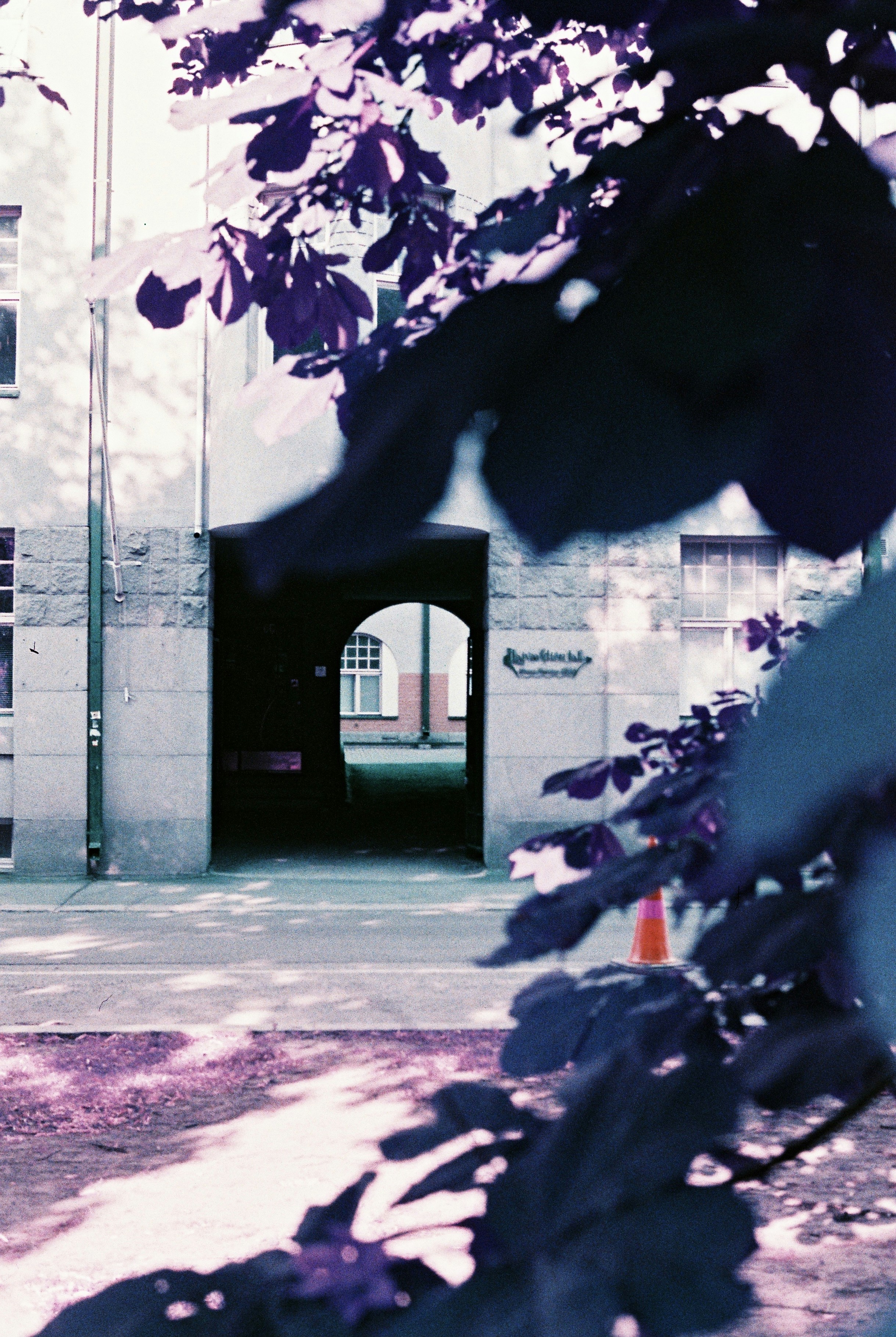 Photo by kallesaarinenmp4