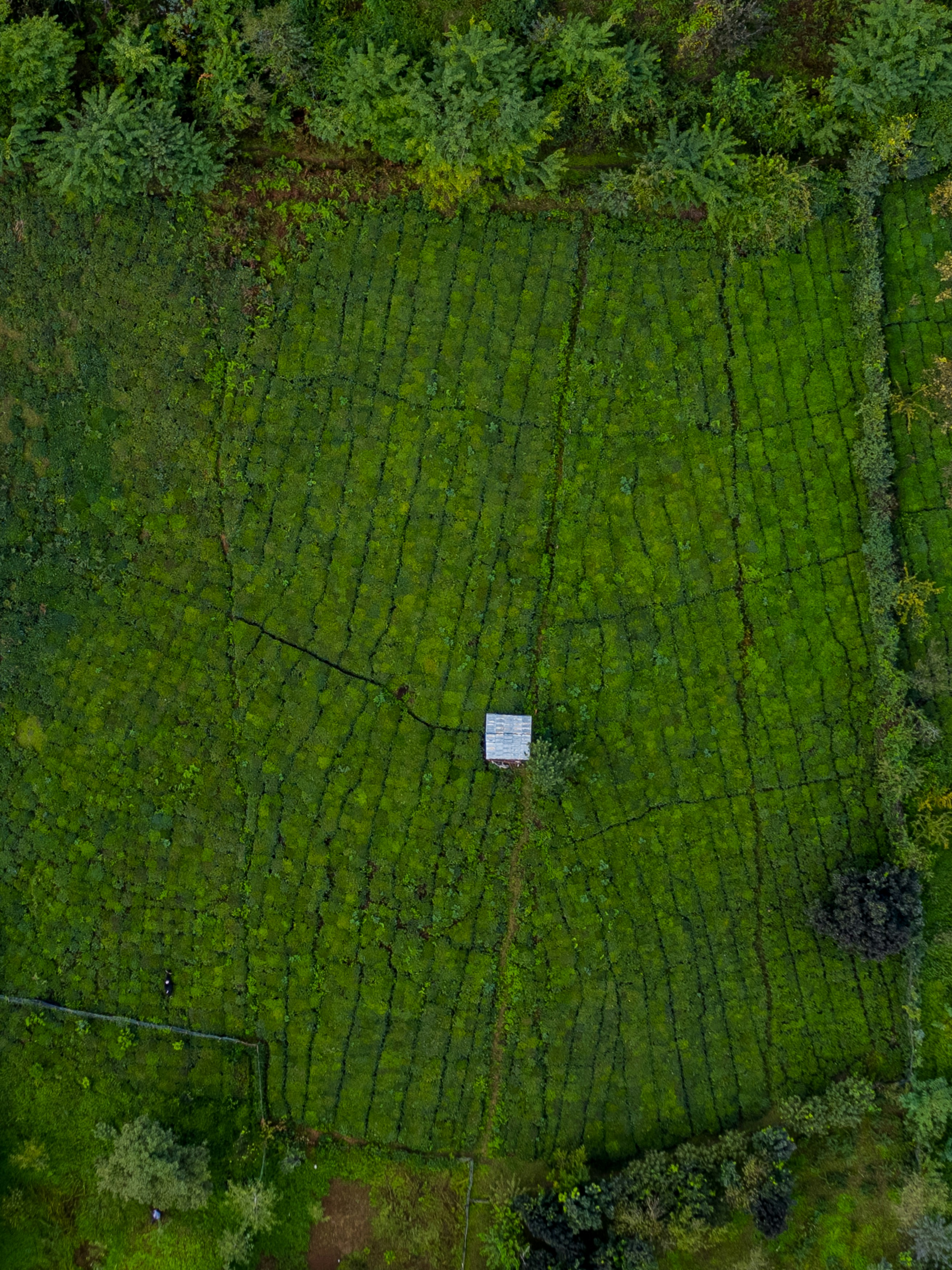 Photo by sajad_baharvandi