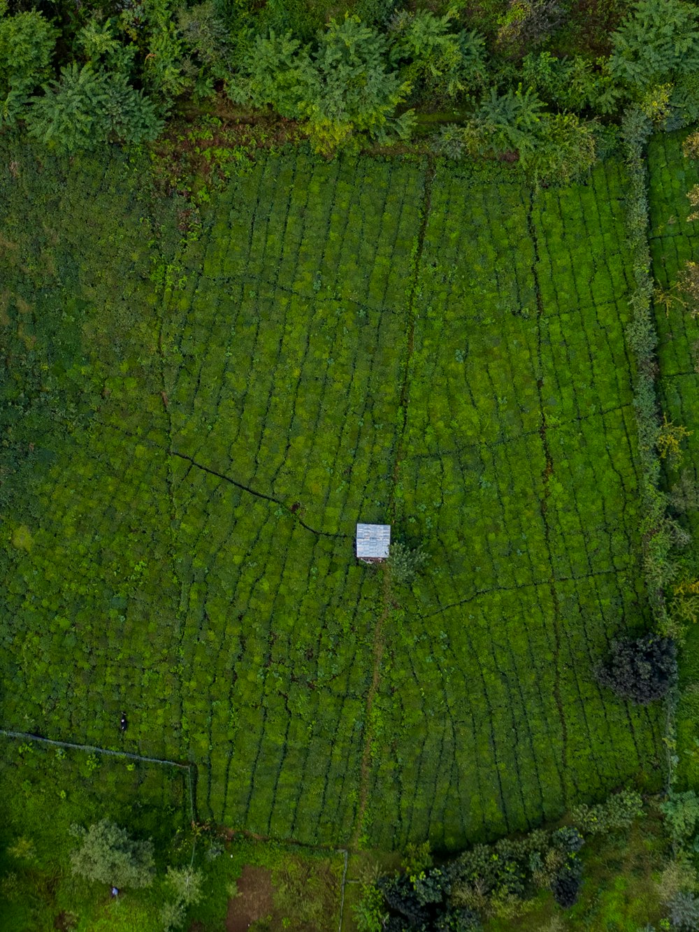 an aerial view of a field with a small house in the middle