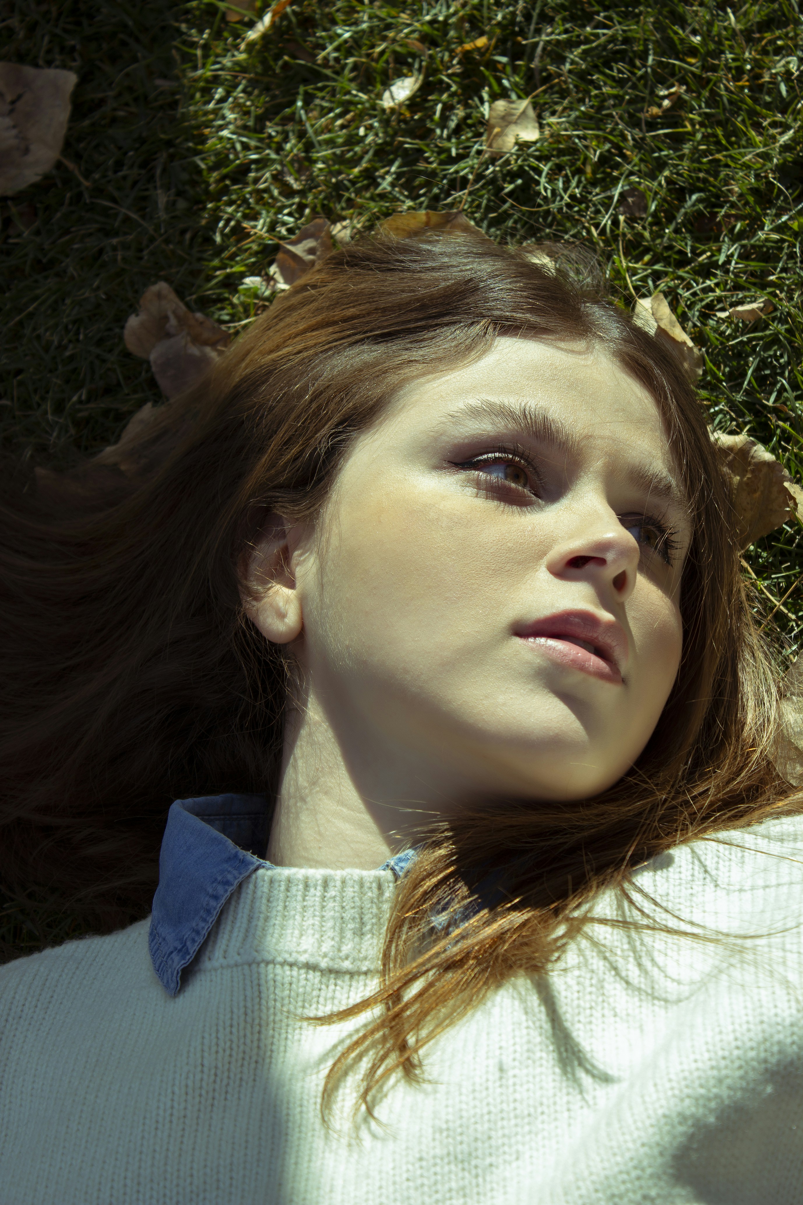 Photo by baranlotfollahi