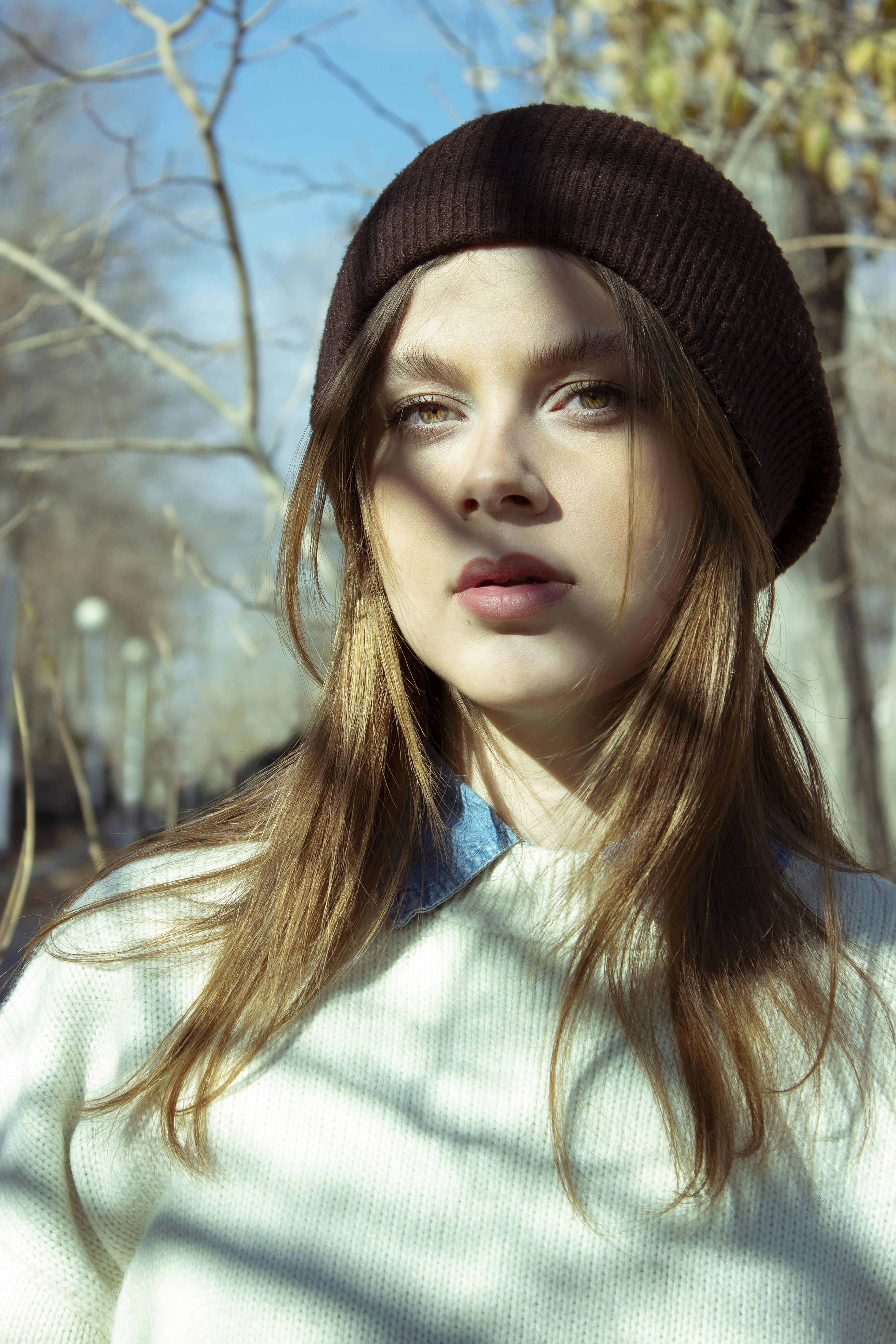 Photo by baranlotfollahi