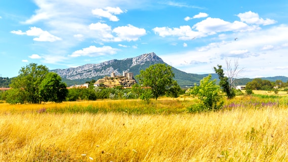 a grassy field with a mountain in the background