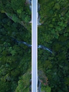 an aerial view of a road in the middle of a forest
