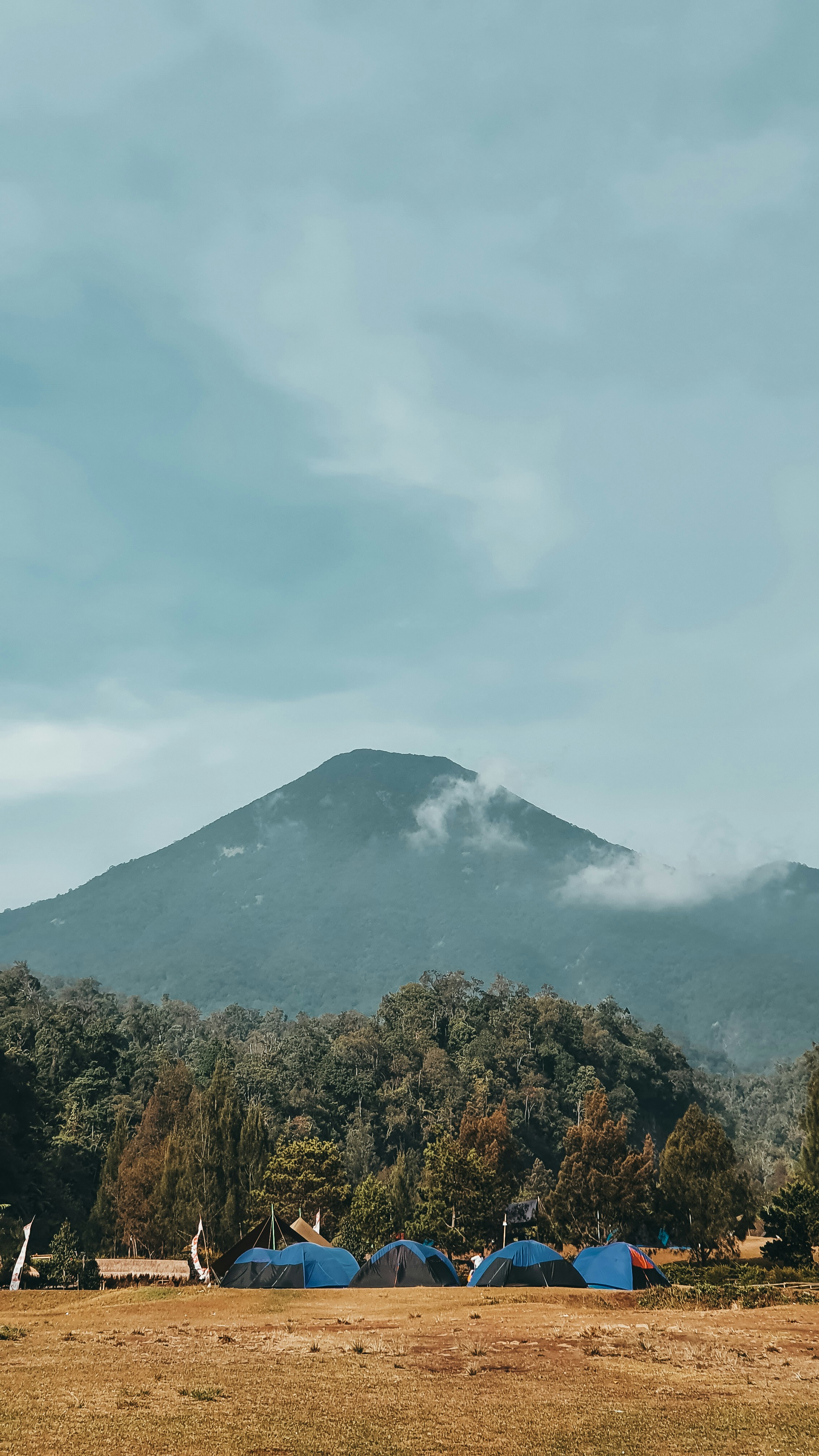 a group of tents in a field with a mountain in the background