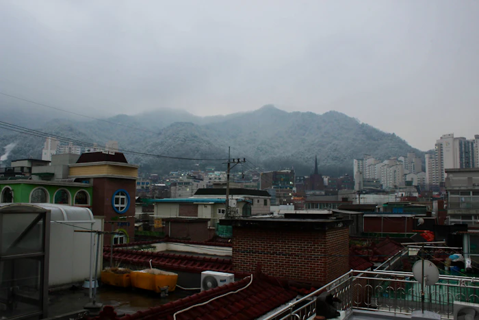 Best Rooftop Cafes in Seoul With Views Worth the Climb