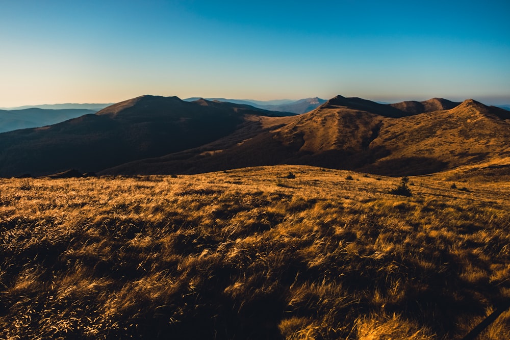 a grassy field with mountains in the background