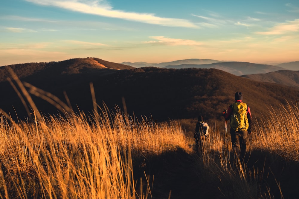 a man and his dog are hiking up a hill