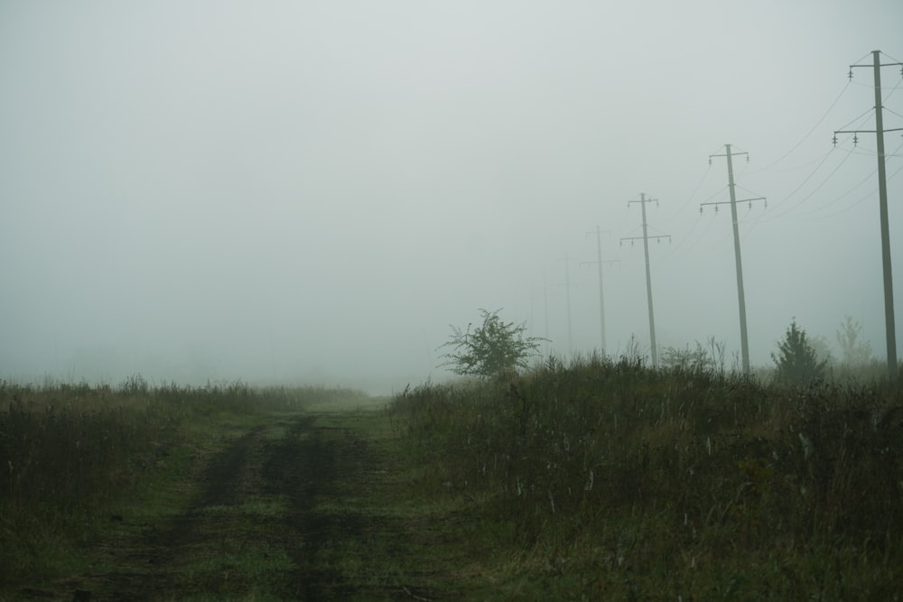 a foggy field with power lines and telephone poles