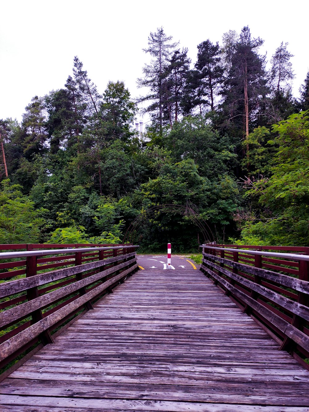 a dog is walking across a wooden bridge