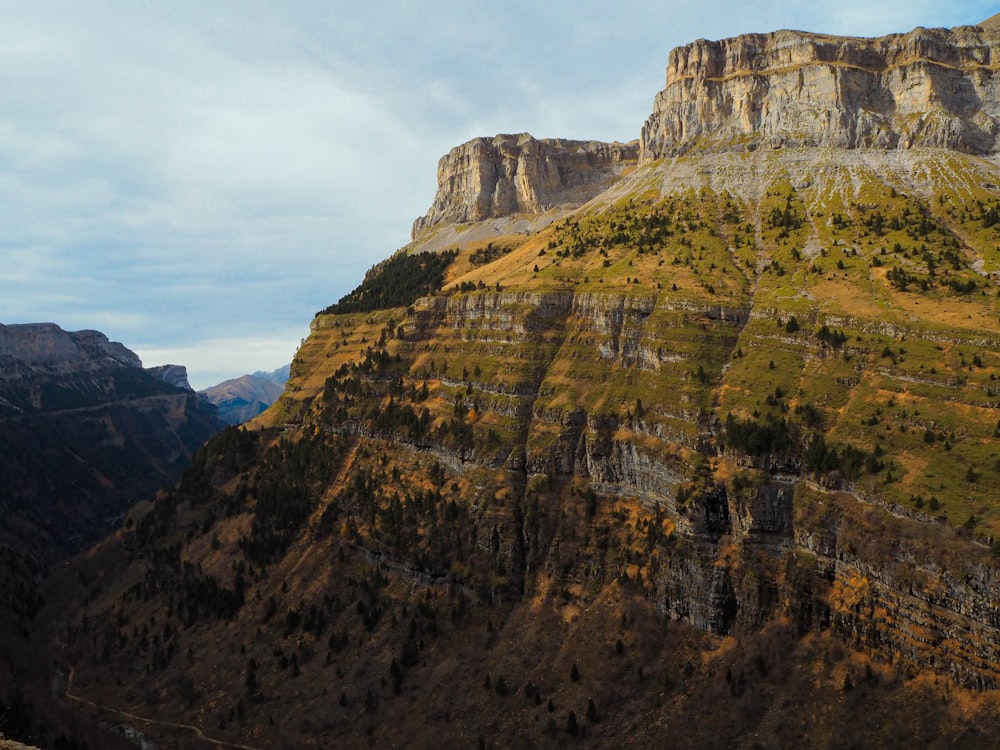 a view of a mountain with a few trees on the side of it