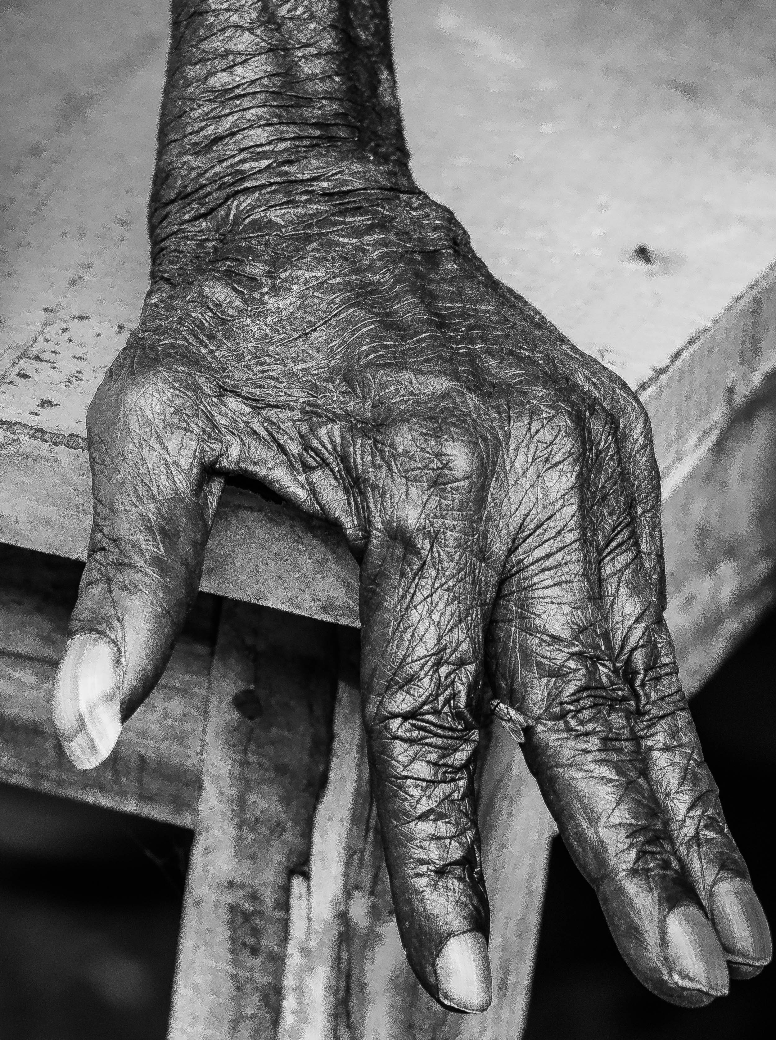 Photo by wordovisual98