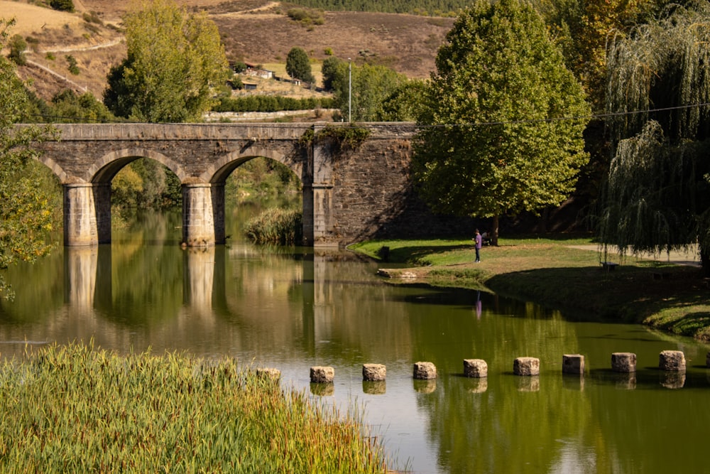 a bridge over a body of water surrounded by trees