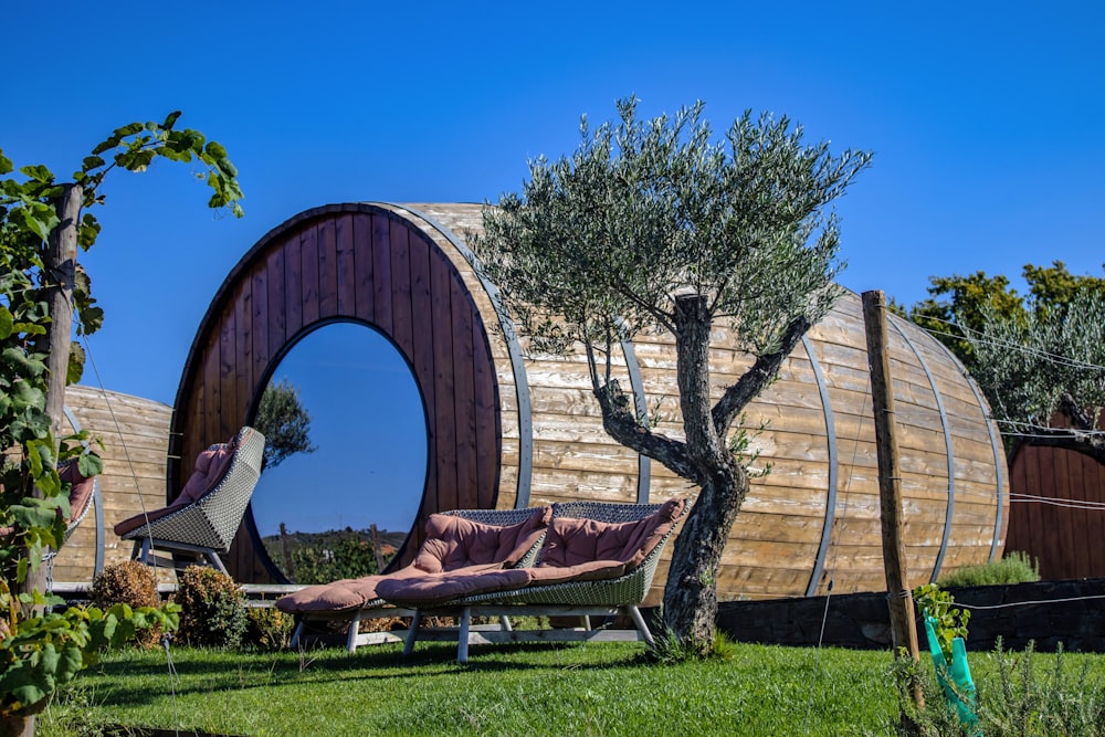 a chair and a tree in a yard