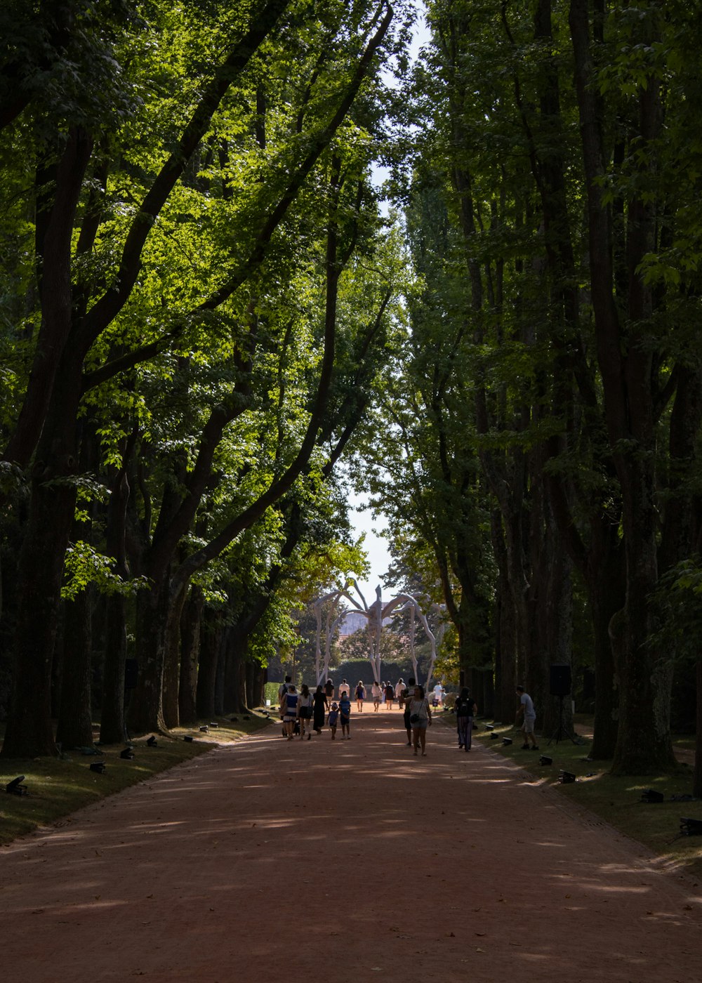 a group of people riding bikes down a dirt road